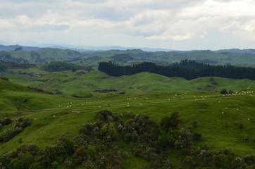 Obraz premium Vulkanladschaft bei Wellington Neuseeland