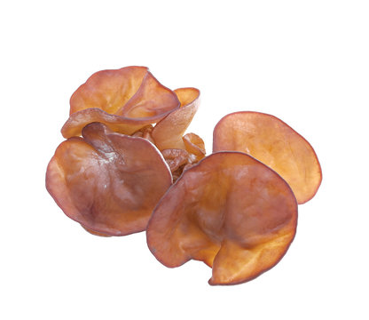 Jew's ear, Wood ear, Jelly ear isolated on white background.top view