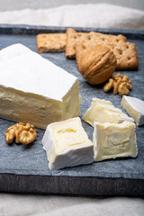 Cheese collection, piece of French brie cheese with white mold