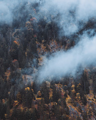 Bavarian mountain fog in autumn