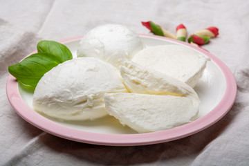 Cheese collection, balls Italian soft white cheese mozzarella