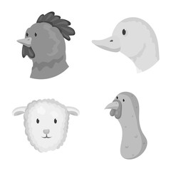 Vector design of countryside and homestead icon. Set of countryside and breeding stock symbol for web.