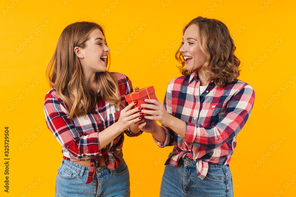 Wall mural Image of two young beautiful girls smiling and holding gift box