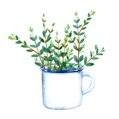 Fototapeta na wymiar Floral bouquet of eucalyptus branches in a enameled mug.Watercolor hand drawn illustration.It can be used for greeting cards, posters, wedding cards.White background. 