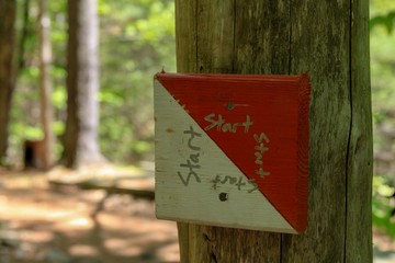 sign in forest
