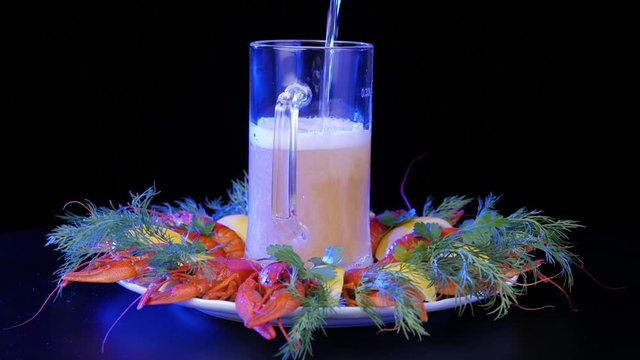 Beer is pouring and foaming in glass on black background. River boiled crayfish with lemon and green-stuff rotating on a white plate.