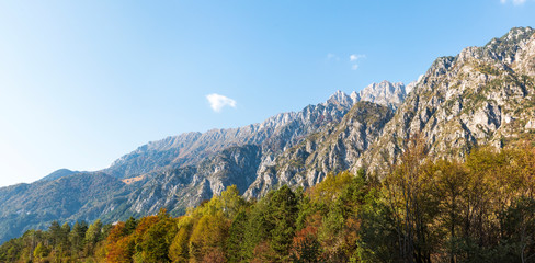 Panorama view of Mountain range (Musi, Julian Alps)  with forest in foreground