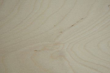 texture of wood closeup