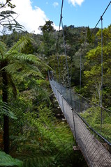 Abel Tasman Nationalpark Neuseeland Coastal Track