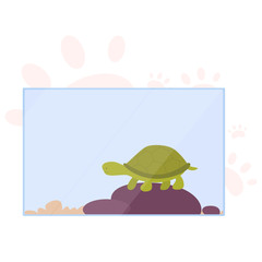 Little cute tortoise in terrarium