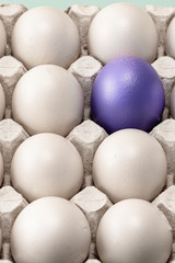 cell and eight eggs close-up, top view. among them, one thing stands out-blue or purple. a leader...