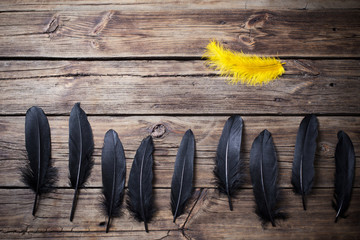 Black and yellow feather on old wooden background.