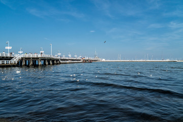 Sopot city, Poland. Bay of Gdansk, white wooden pier and flock of swans on beach - obrazy, fototapety, plakaty