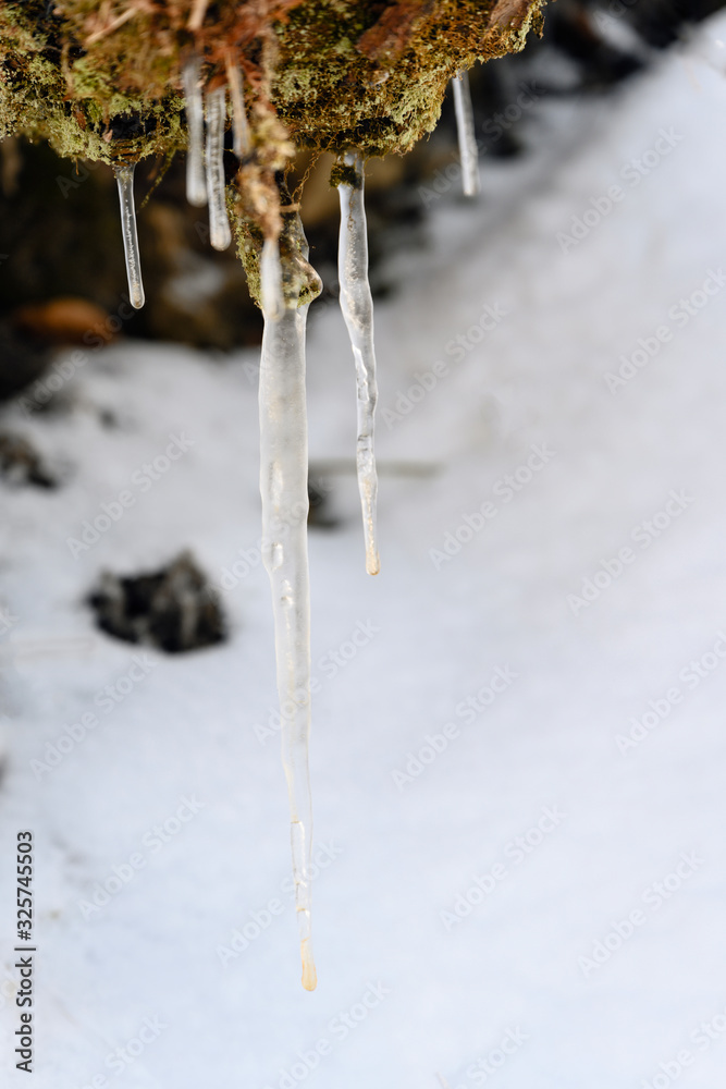 Wall mural Icy little stalactite outdoors in nature on an overhang near stones.