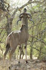 Fototapeta premium SONY DSC
