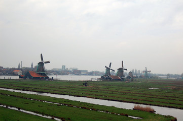 Fototapeta na wymiar Dutch Windmills at Zaanse Schans in the Netherlands.
