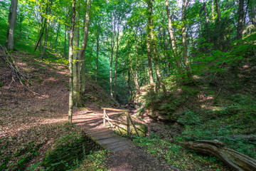 Seltenbachschlucht, Klingenberg am Main
