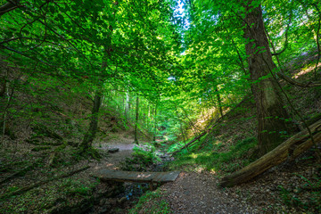 Seltenbachschlucht, Klingenberg am Main