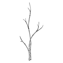 Young seedling icon. Vector illustration of a young sapling for planting. Hand drawn young bush for spring planting.