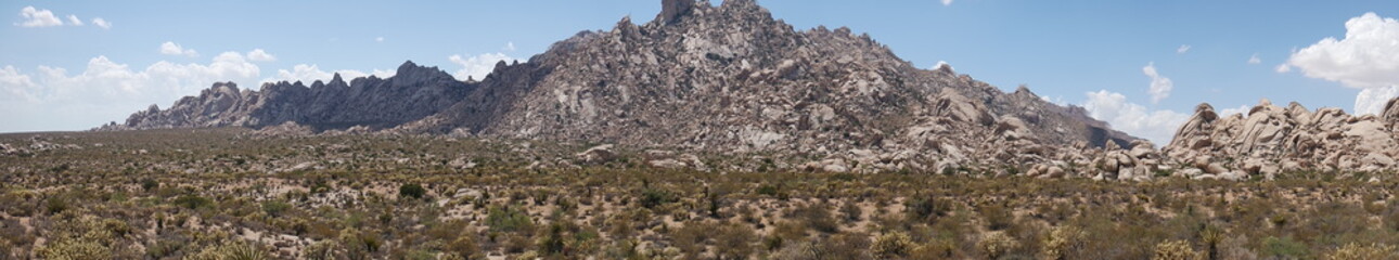 Fabulosa vista en el desierto de Mojave