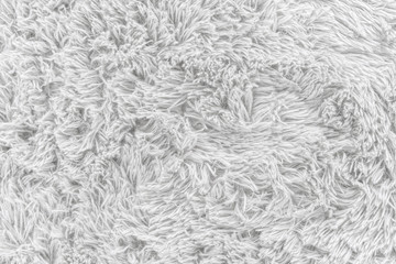 Close up white fur texture or carpet for background