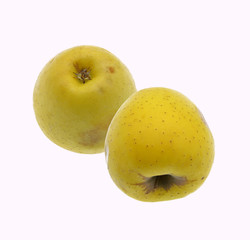 two apples isolated on white background