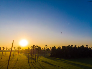 Green paddy rice plantation field sunrise light morning time aerial view