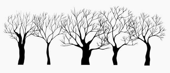 Black hand drawn silhouette trees. Set of vector illustration. Old dark black and white garden