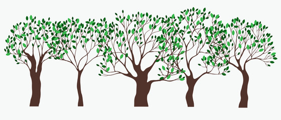 Set of  green spring trees. Vector hand drawn illustration. Green leaves on brown tree