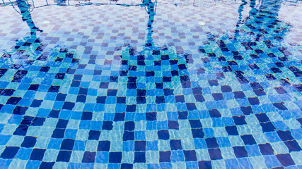 reflections of  trees in a swimming pool