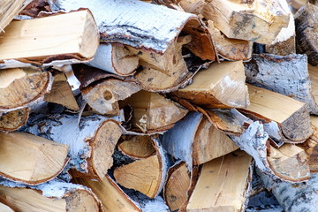 Preparation of firewood for the winter. firewood background, Stacks of firewood in the forest. Pile of firewood.