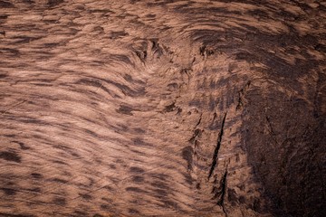 old wood texture background