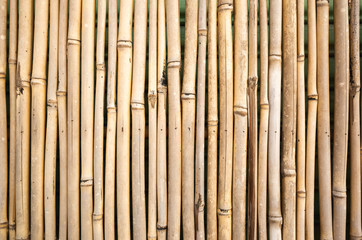 yellow bamboo wall background
