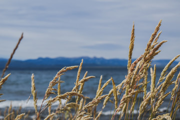 Fototapeta premium Lago N