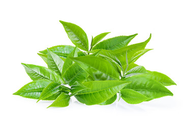 Green tea leaf on white background