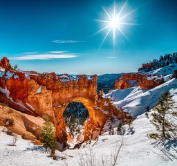 Beautiful scenery of the snowy Bryce Canyon under the shining sun - obrazy, fototapety, plakaty