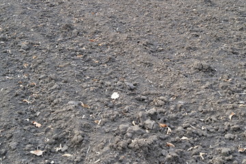 Treated soil. Land for planting agricultural plants. Background.