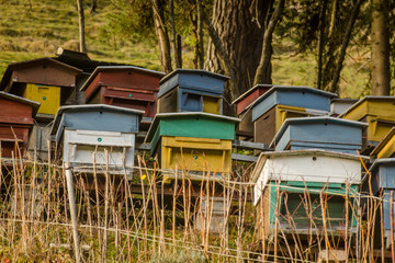 Rows of colorful bee hives on the side of a hill