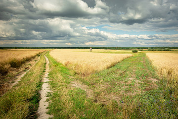 Fototapeta na wymiar A beautiful shot of a dirt road and fields in eastern Poland, sunny summer day