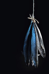 Fototapeta premium Smoked Mackerel Fish on Rope