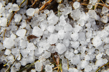 Obraz premium Snow pellets, graupel or soft hail on the ground. Form of precipitation
