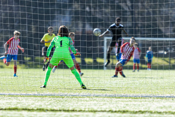 Young soccer goalkeeper behind his goal stopping a goal, back view