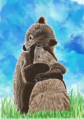 bears hug, the affection love friendship animals