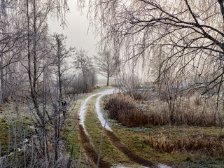 frozen icy foggy country road