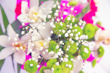 Pink toned background with tiny white flowers, blurred, selective focus. Flowers Gypsophila paniculata against the background of a colorful bouquet