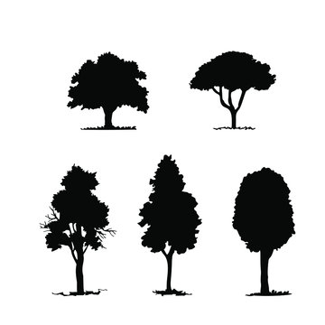 Set of tree silhouettes, vectoe architectural collection