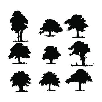 Set of vector tree stencil, architectural mix
