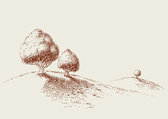 Quiet place in nature wallpaper, simple trees sketch, zen garden, minimalistic life style concept