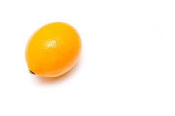 A ripe lemon isolated on white background.  Top view. Harvesting and agriculture