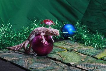 christmas decoration